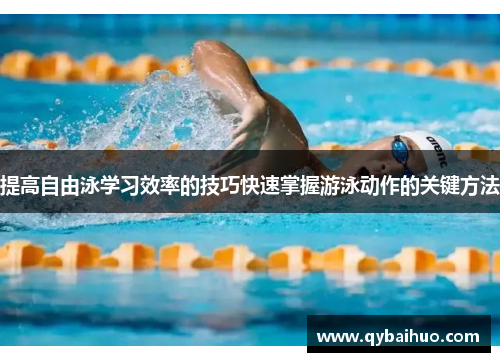 提高自由泳学习效率的技巧快速掌握游泳动作的关键方法